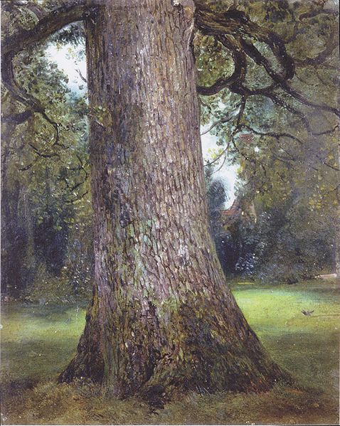 John Constable, Study of the Trunk of an Elm Tree, c. 1821